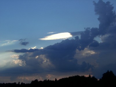 90 CuconSchatten20160623.jpg