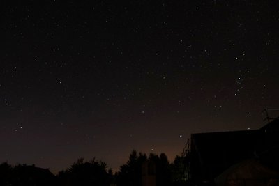 IMG_1635.jpg