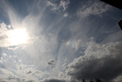 IMG_6708 ..........jpg