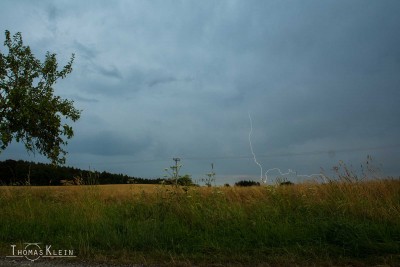 _DSC0278_Copyright.jpg