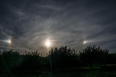 _DSC2399-1.jpg (66.84 KiB) 3701 mal betrachtet _DSC2399-1.jpg