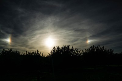 _DSC2401-1.jpg (69.13 KiB) 3710 mal betrachtet _DSC2401-1.jpg