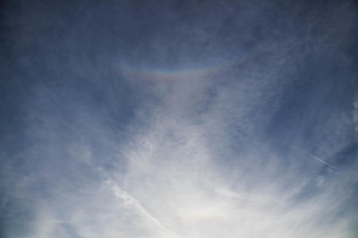 _DSC2447-1.jpg (56.81 KiB) 3710 mal betrachtet _DSC2447-1.jpg