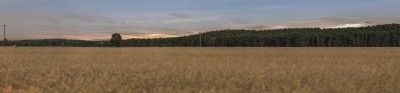 _DSC0478-Bearbeitet.jpg