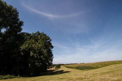 20160816-IMG_3449.jpg (114.42 KiB) 1975 mal betrachtet Weitwinkel 10mm - 11.45Uhr