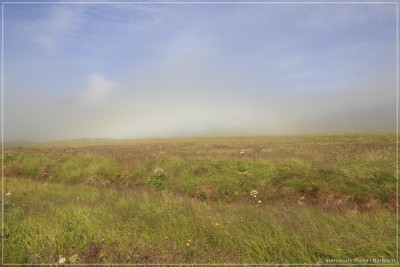 Islandbilder_11.jpg