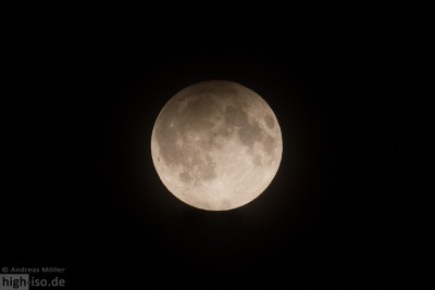 _MG_5481.jpg