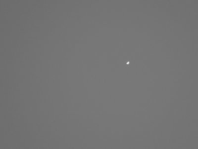 Sony DSC-HX400V, 1200mm Brennweite bei ISO 100, Blende 6.3 und 1/200s Belichtungszeit: Foto bearbeitet