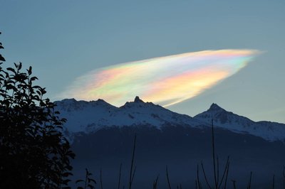 DSC_8849k_161227_8h45.jpg (126.09 KiB) 1979 mal betrachtet 27.12.2016 8:45