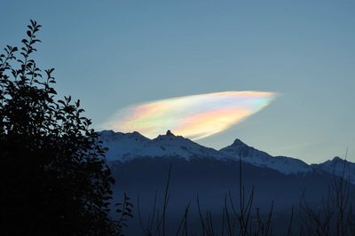 DSC_8848k_161227_8h45.jpg (148.92 KiB) 1979 mal betrachtet 27.12.2016 8:45