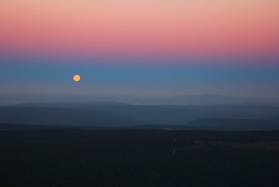 IMG_2873.jpg