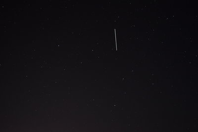 DSC_0246.JPG