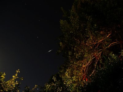 Flare von Iridium 68 am 07.06.2017 um 00:26:33 MESZ; Helligkeit etwa -4 mag. Aufgenommen in der Bonner Südstadt mit einer Sony DSC-HX400V, Belichtungszeit 30s bei Blende 2.8 und ISO 100, Brennweite 24mm (Kleinbild). Links oberhalb des Satelliten der helle Fixstern Arktur, ganz unten zwischen den Büschen Jupiter.