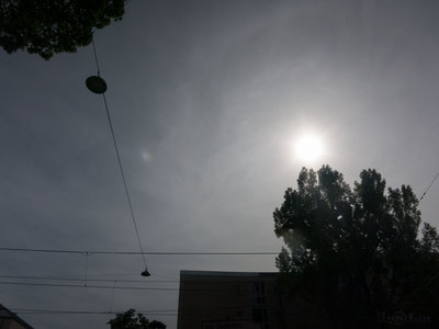IMG_0651_Copyright.jpg