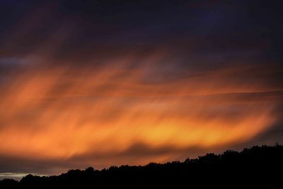 IMG_2743.jpg