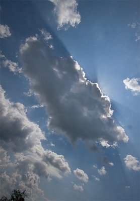 Wolkenschatten | 21.06.17