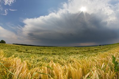 aufkommende Gewitterzelle | 21.06.17