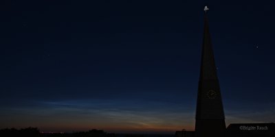 NLC-1.JPG