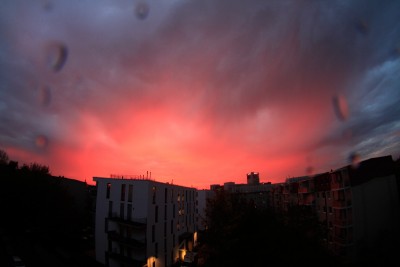 _MG_8740.jpg
