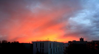 _MG_8685_stitch_s.jpg