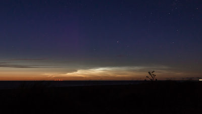 nlc 11mm 0025 2.jpg