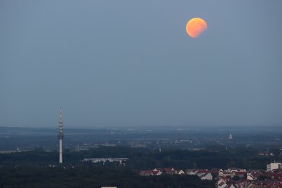 parmofi_2017_08_07_2058.jpg