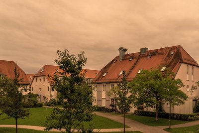 20170809_Haar-7431.jpg