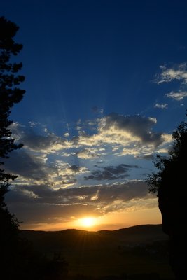 DSC_3421.JPG