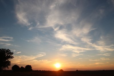 17_08_14_NS_li-re_Wolp_Pappel 5_(3).JPG