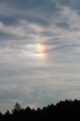 17_08_14_NS-li-re__Wolp_3 (7).JPG