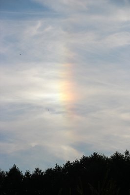 17_08_14_NS-li-re_Wolp__4 (10).JPG