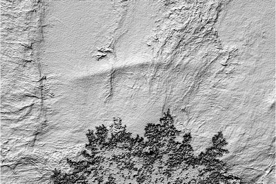 Bild Rainer bearbeitet mit Relief-Verfahren