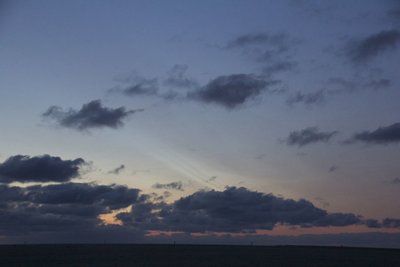 NLC_IMG_2052.jpg