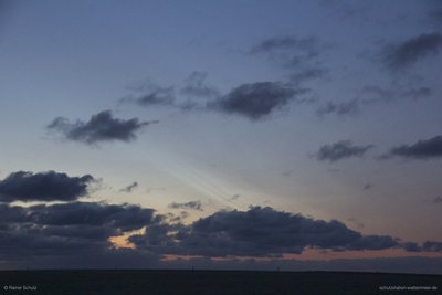 NLC_IMG_2052.jpg