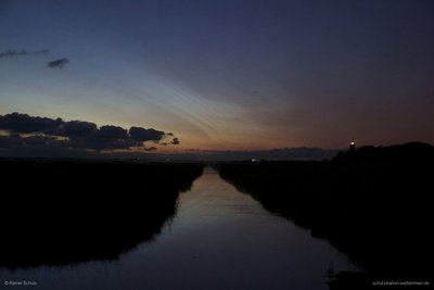 NLC_IMG_2060.jpg