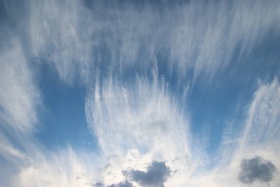 IMG_9693.JPG