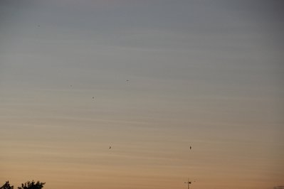 17_09_12_Wolken_Streifen (4).JPG (148.08 KiB) 6143 mal betrachtet 17_09_12_Wolken_Streifen (4).JPG