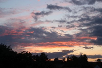 IMG_0360.JPG