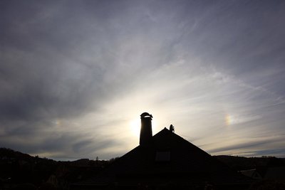 IMG_6411.jpg
