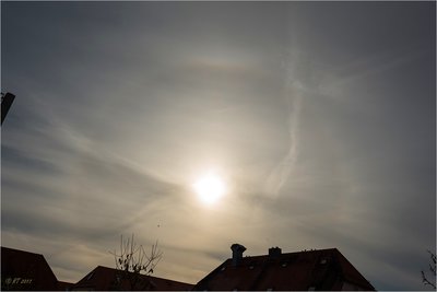 20171104_22°_Ring_Haar-6890.jpg