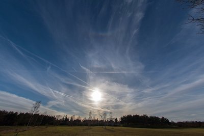 23.11.2017 13:38 Uhr Buga-Park München-Riem