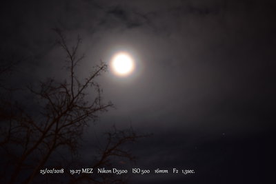 DSC_0228a.JPG